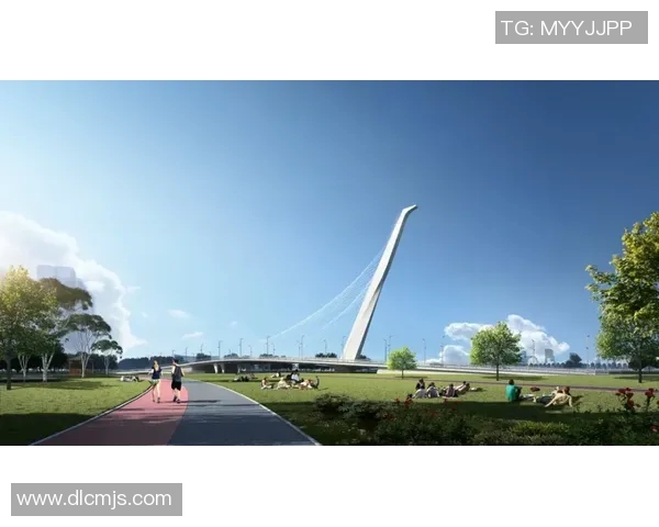 成都排球队的阵地战策略揭秘与深度分析