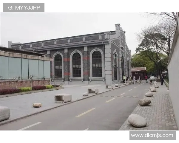 羽毛球传奇之路：深入武汉羽毛球队的精神与文化探讨